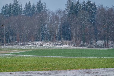 Fenomen, Nisan ayında İsviçre 'ye kar yağdı. Nisan 'da kar altında İsviçre köyü