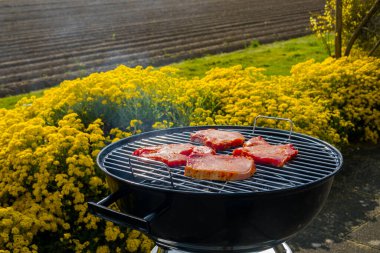 Küçük bir kömür ızgarasında et pişiriyorum.