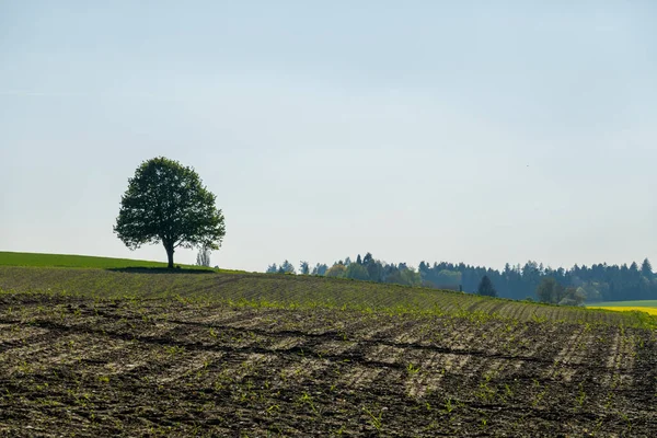 Magnificent Views Landscapes Province Emmental Agricultural Grounds — стоковое фото