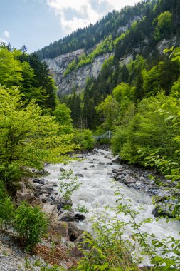 Orman ve dağlar arasındaki görkemli Blausee