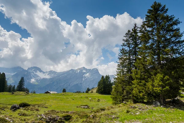 Les Magnifiques Alpes Suisses Sommets Lacs Montagne Incroyable Paysage Montagne — Photo
