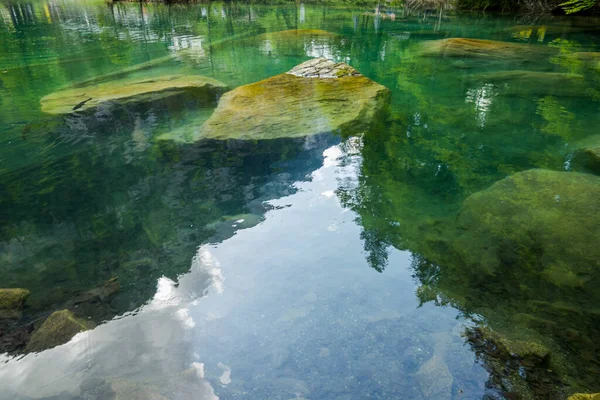 Magnifico Blausee Tra Foresta Montagne — Foto Stock