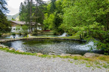 Dağlardaki alabalık çiftliği. Bir sürü alabalık, temiz su.
