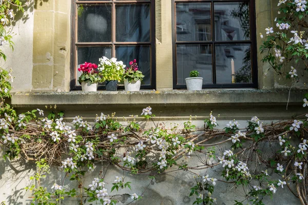 Incredible Beautiful City Freiburg Switzerland Architecture Panoramas — Stock Photo, Image