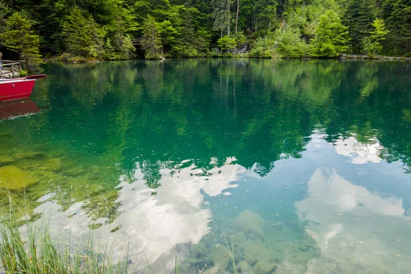Magnifico Blausee Tra Foresta Montagne — Foto Stock