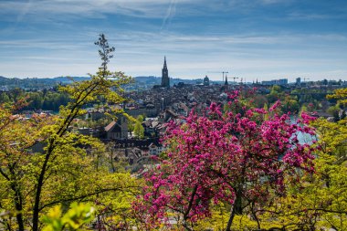 Baharda Bern şehrinin muhteşem manzarası.