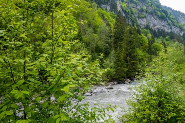 Orman ve dağlar arasındaki görkemli Blausee