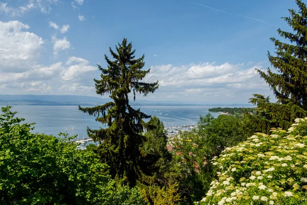 Bela Cidade Francesa Thonon Nas Margens Lago Genebra — Fotografia de Stock
