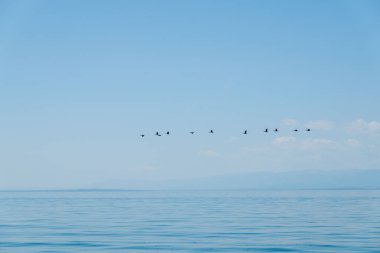 Cenevre Gölü 'nde tekne gezisi. Güzel arka planlar ve manzaralar
