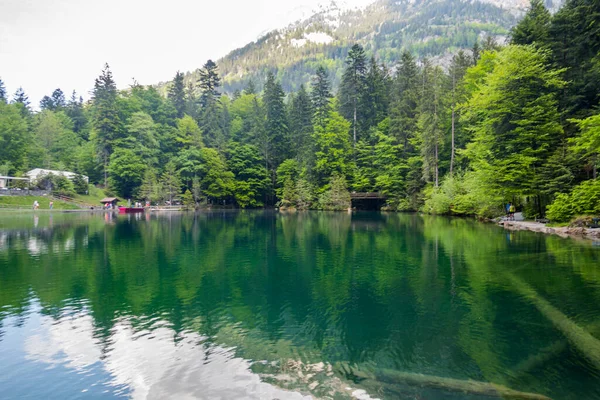 Μεγαλοπρεπής Blausee Ανάμεσα Στο Δάσος Και Βουνά — Φωτογραφία Αρχείου