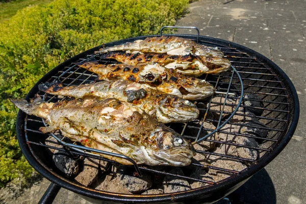 Öringen Grillas Över Träkol Livsmedelsbakgrund — Stockfoto