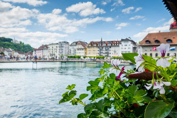 Bellissima Città Lucerna Svizzera Paesaggi Urbani Architettura — Foto Stock
