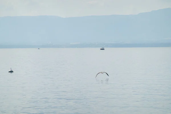 Magnificul Lac Geneva Excursie Barca Peisaj Magnific — Fotografie, imagine de stoc