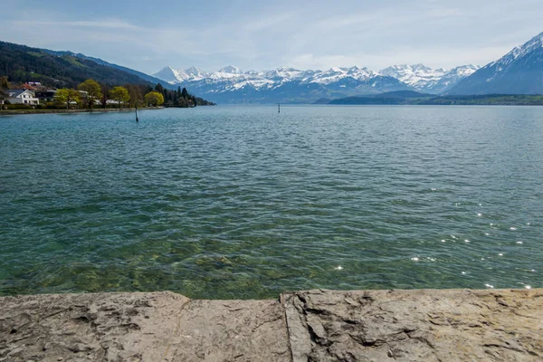 Jezioro Thun Szwajcarii Widok Góry Jezioro — Zdjęcie stockowe