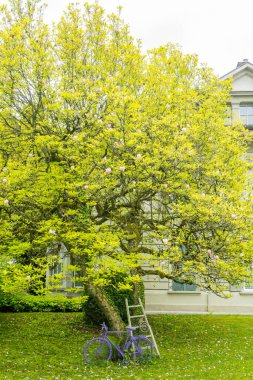 Muhteşem antik Burgdorf şehri. Antik evler ve sokaklar