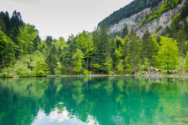 Μεγαλοπρεπής Blausee Ανάμεσα Στο Δάσος Και Βουνά — Φωτογραφία Αρχείου