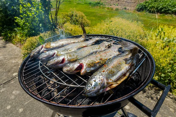 Alabalık Mangal Kömüründe Kızarıyor Yiyecek Arka Planı — Stok fotoğraf