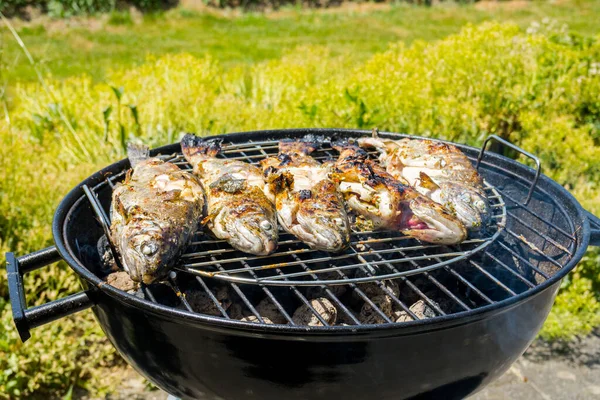 Öringen Grillas Över Träkol Livsmedelsbakgrund — Stockfoto