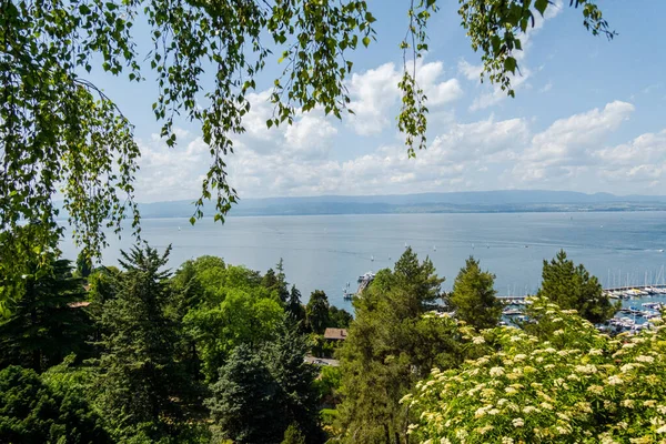 Den Vackra Franska Staden Thonon Stranden Genèvesjön — Stockfoto