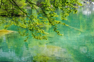 Orman ve dağlar arasındaki görkemli Blausee