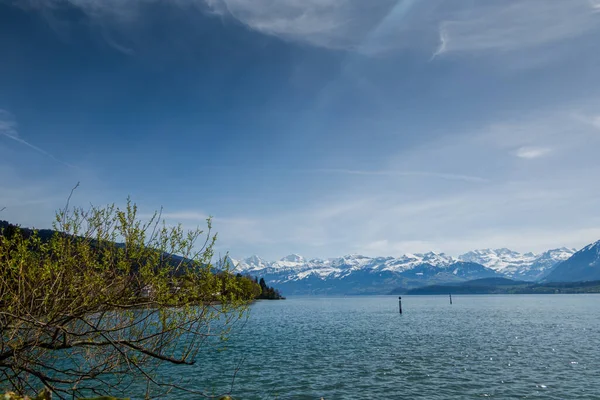 Sviçre Thun Gölü Dağlar Göl Manzarası — Stok fotoğraf