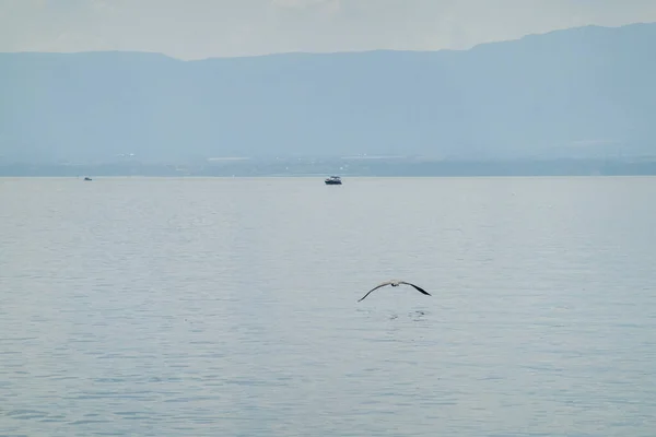 Wspaniałe Jezioro Genewskie Rejs Statkiem Wspaniała Sceneria — Zdjęcie stockowe