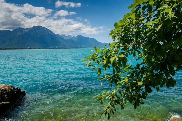 Lake Geneva Montreux Breathtaking View — Stock Photo, Image