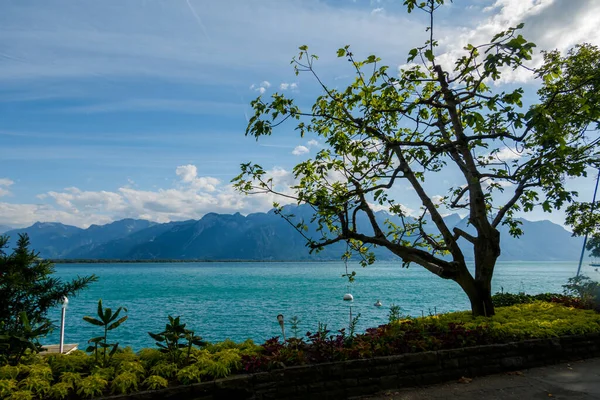 Lake Geneva Montreux Breathtaking View — Stockfoto