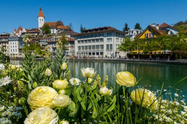 Thun şehrinin ve İsviçre 'deki nehrin güzel manzarası
