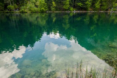 Orman ve dağlar arasındaki görkemli Blausee