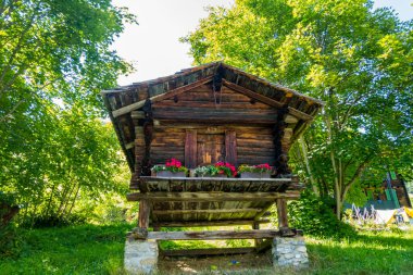 İsviçre 'de güzel Alpler ve Şelaleler. Bernese Alpleri