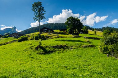 İsviçre 'de güzel Alpler ve Şelaleler. Bernese Alpleri