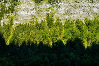 İsviçre 'de güzel Alpler ve Şelaleler. Bernese Alpleri