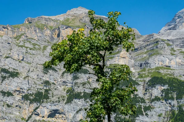 Beautiful alps and waterfalls in switzerland. Bernese Alps