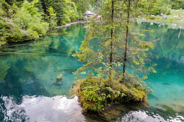 Μεγαλοπρεπής Blausee Ανάμεσα Στο Δάσος Και Βουνά — Φωτογραφία Αρχείου