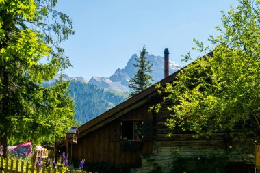 İsviçre 'de güzel Alpler ve Şelaleler. Bernese Alpleri
