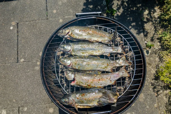 鳟鱼是用木炭烤的 食品背景 — 图库照片