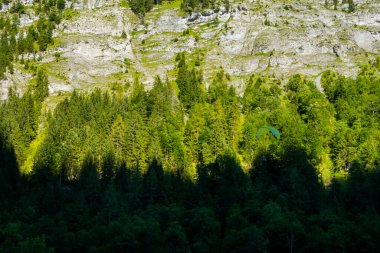 İsviçre 'de güzel Alpler ve Şelaleler. Bernese Alpleri