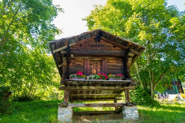 İsviçre 'de güzel Alpler ve Şelaleler. Bernese Alpleri