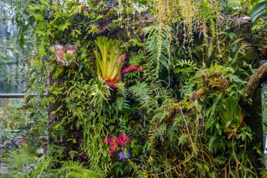 Beautiful nature and animals in Bern  zoo