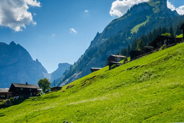 Beautiful alps and waterfalls in switzerland. Bernese Alps