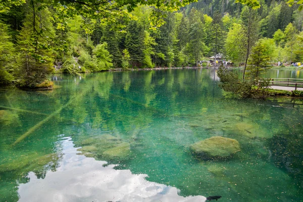Μεγαλοπρεπής Blausee Ανάμεσα Στο Δάσος Και Βουνά — Φωτογραφία Αρχείου
