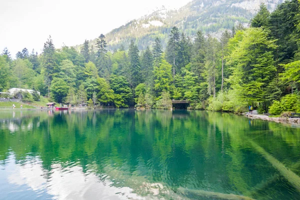 Magnífico Blausee Entre Bosque Las Montañas — Foto de Stock