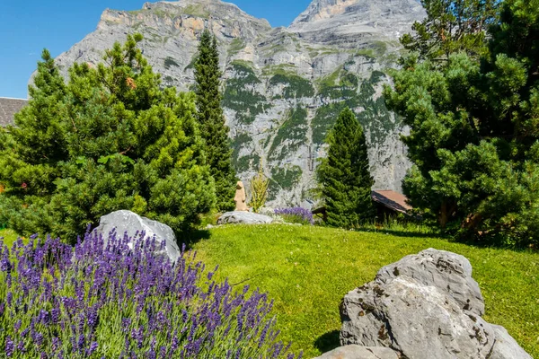 Beautiful Alps Waterfalls Switzerland Bernese Alps — Stockfoto