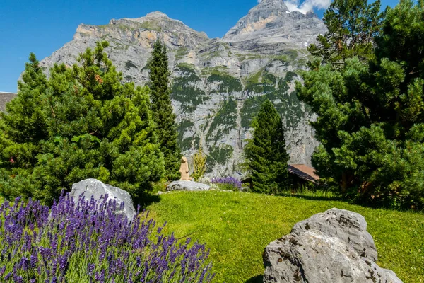 Beautiful alps and waterfalls in switzerland. Bernese Alps