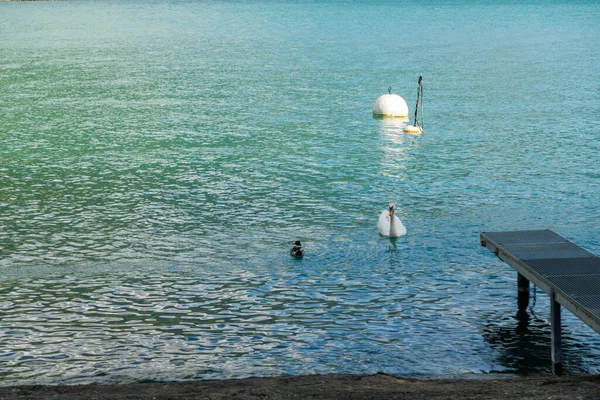 Lake Geneva Montreux Breathtaking View — стоковое фото