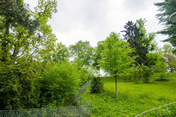 Belo Parque Cidade Suíça Burgdorf — Fotografia de Stock