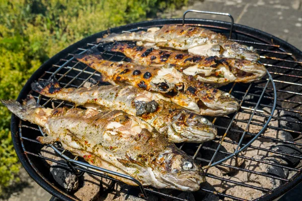 Alabalık Mangal Kömüründe Kızarıyor Yiyecek Arka Planı — Stok fotoğraf