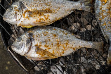Izgara dorado. Lezzetli ızgara sağlıklı balık..