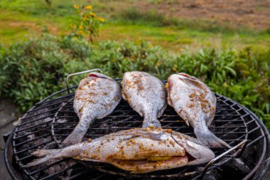 Izgara dorado. Lezzetli ızgara sağlıklı balık..